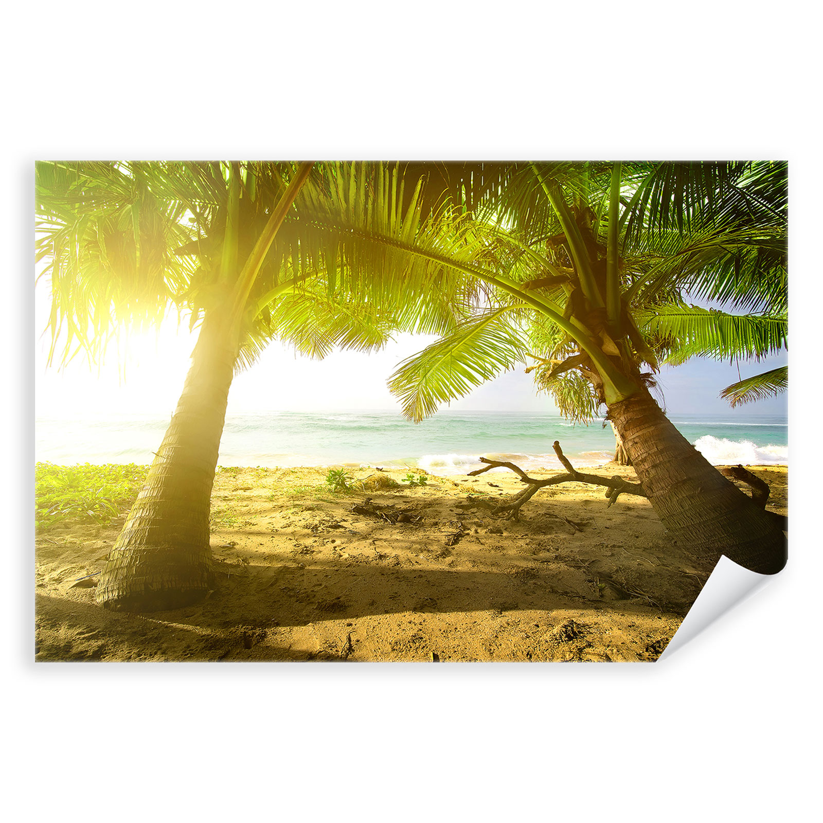 Meer Sonne Sommer Urlaub Natur Strand Postereck 2597 Poster Leinwand Palmen