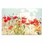 Preview: Rote Mohnblumen blühen am Ufer eines Sees und werden von der warmen Sonne angestrahlt. Preview: Rote Mohnblumen blühen am Ufer eines Sees und werden von der warmen Sonne angestrahlt.