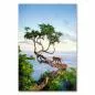 Preview: Ein Affe sitzt auf einem Baum an der Küste und blickt auf das weite Meer hinaus. Die Sonne taucht die Szene in ein warmes Licht und erzeugt eine friedliche Atmosphäre. Preview: Ein Affe sitzt auf einem Baum an der Küste und blickt auf das weite Meer hinaus. Die Sonne taucht die Szene in ein warmes Licht und erzeugt eine friedliche Atmosphäre.