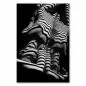 Preview: Künstlerische Aktfotografie mit faszinierendem Spiel von Licht und Schatten, die den Körper in Streifen einhüllen. Preview: Künstlerische Aktfotografie mit faszinierendem Spiel von Licht und Schatten, die den Körper in Streifen einhüllen.