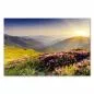 Preview: Blühende Alpenrosen im Sonnenaufgang – erleben Sie die Magie der Bergwelt! Preview: Blühende Alpenrosen im Sonnenaufgang – erleben Sie die Magie der Bergwelt!