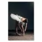 Preview: Eine grazile Ballerina in einem weißen Tutu bindet ihren Ballettschuh - ein Moment voller Anmut und Eleganz. Preview: Eine grazile Ballerina in einem weißen Tutu bindet ihren Ballettschuh - ein Moment voller Anmut und Eleganz.