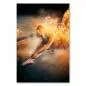 Preview: Ballerina, lodernde Flammen, mystische Flügel - Komposition aus Tanz & Feuer. Preview: Ballerina, lodernde Flammen, mystische Flügel - Komposition aus Tanz & Feuer.