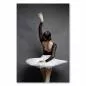 Preview: Rückansicht: Ballerina in schwarzem Trikot & weißem Tutu, elegante Pose. Preview: Rückansicht: Ballerina in schwarzem Trikot & weißem Tutu, elegante Pose.