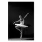 Preview: Eine Balletttänzerin zeigt anmutig eine Pose in einem klassischen Tutu. Preview: Eine Balletttänzerin zeigt anmutig eine Pose in einem klassischen Tutu.