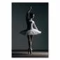 Preview: Ballerina in Tutu zeigt elegante Pose auf Spitze, Licht- und Schatten-Spiel verleiht besondere Atmosphäre. Preview: Ballerina in Tutu zeigt elegante Pose auf Spitze, Licht- und Schatten-Spiel verleiht besondere Atmosphäre.