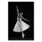 Preview: Eine Ballerina im Sprung, ihr Kleid fliegt im Wind - ein Bild von Anmut und Leichtigkeit. Preview: Eine Ballerina im Sprung, ihr Kleid fliegt im Wind - ein Bild von Anmut und Leichtigkeit.