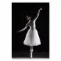 Preview: Eine grazile Ballerina in weißem Tutu auf Zehenspitzen - ein Bild von Eleganz und Anmut. Preview: Eine grazile Ballerina in weißem Tutu auf Zehenspitzen - ein Bild von Eleganz und Anmut.