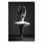 Preview: Eleganz und Anmut: Eine Ballerina im Tutu steht auf einem Bein mit erhobenen Armen. Preview: Eleganz und Anmut: Eine Ballerina im Tutu steht auf einem Bein mit erhobenen Armen.