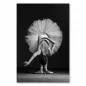 Preview: Grazile Verbeugung: Eine Ballerina in Schwarz-Weiß, ihr Tutu bildet einen Kreis um sie herum. Preview: Grazile Verbeugung: Eine Ballerina in Schwarz-Weiß, ihr Tutu bildet einen Kreis um sie herum.