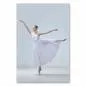Preview: Anmutige Ballerina in weißem Tutu vollführt grazile Ballettpose vor hellgrauem Hintergrund . Preview: Anmutige Ballerina in weißem Tutu vollführt grazile Ballettpose vor hellgrauem Hintergrund .