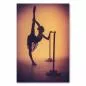 Preview: Die Silhouette einer Balletttänzerin beim Dehnen an der Stange - dieses Bild fängt die Anmut und Disziplin des Balletts ein. Preview: Die Silhouette einer Balletttänzerin beim Dehnen an der Stange - dieses Bild fängt die Anmut und Disziplin des Balletts ein.