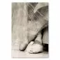 Preview: Abgenutzte Ballettschuhe unter einem Tutu zeigen die Hingabe und harte Arbeit jeder Ballerina. Preview: Abgenutzte Ballettschuhe unter einem Tutu zeigen die Hingabe und harte Arbeit jeder Ballerina.