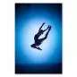 Preview: Freiheit: Silhouette einer Balletttänzerin während eines hohen Sprungs; motiv voll Dynamik. Preview: Freiheit: Silhouette einer Balletttänzerin während eines hohen Sprungs; motiv voll Dynamik.