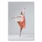 Preview: Balletttänzerin in fliederfarbenem Kleid zeigt elegante Pose auf Zehenspitzen und verkörpert Anmut. Preview: Balletttänzerin in fliederfarbenem Kleid zeigt elegante Pose auf Zehenspitzen und verkörpert Anmut.