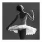 Preview: Schwarz-Weiß-Foto: Balletttänzerin (von hinten) im Tutu, Kopf elegant geneigt. Preview: Schwarz-Weiß-Foto: Balletttänzerin (von hinten) im Tutu, Kopf elegant geneigt.