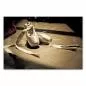 Preview: Abgenutzte Ballettschuhe erzählen Geschichten von harter Arbeit und Hingabe, Symbol für die Schönheit des Balletts. Preview: Abgenutzte Ballettschuhe erzählen Geschichten von harter Arbeit und Hingabe, Symbol für die Schönheit des Balletts.