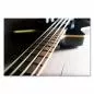 Preview: Stimmungsvolle Aufnahme: E-Bass-Gitarre auf Holzboden, Saiten & Kontrast. Preview: Stimmungsvolle Aufnahme: E-Bass-Gitarre auf Holzboden, Saiten & Kontrast.