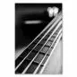 Preview: Schwarz-Weiß-Nahaufnahme: E-Bass-Gitarrenhals, Bundstäbchen & Holzmaserung. Preview: Schwarz-Weiß-Nahaufnahme: E-Bass-Gitarrenhals, Bundstäbchen & Holzmaserung.