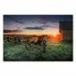 Preview: Holzwagen vor Schuppen auf Wiese, Sonnenaufgang, ländliche Idylle. Preview: Holzwagen vor Schuppen auf Wiese, Sonnenaufgang, ländliche Idylle.