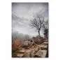 Preview: Kahler Baum auf Felsen, bewölkter Himmel, karge Landschaft - raue Schönheit. Preview: Kahler Baum auf Felsen, bewölkter Himmel, karge Landschaft - raue Schönheit.