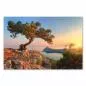 Preview: Knorriger Baum auf Klippe, Blick aufs Meer, Sonnenaufgang. Preview: Knorriger Baum auf Klippe, Blick aufs Meer, Sonnenaufgang.