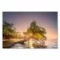 Preview: Baum im Wasser am Strand, Sonnenuntergang, warme Farben, tropische Stimmung. Preview: Baum im Wasser am Strand, Sonnenuntergang, warme Farben, tropische Stimmung.