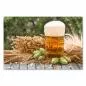 Preview: Glas Bier mit Schaumkrone, Hopfen, Gerste, Malz - traditionelle Zutaten. Preview: Glas Bier mit Schaumkrone, Hopfen, Gerste, Malz - traditionelle Zutaten.