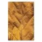 Preview: Nahaufnahme: Getrocknetes Blatt, Adern & goldbraune Oberfläche, Struktur. Preview: Nahaufnahme: Getrocknetes Blatt, Adern & goldbraune Oberfläche, Struktur.