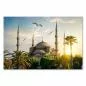 Preview: Blaue Moschee in Istanbul, Sonnenuntergang, Palmen & Möwen - malerisch. Preview: Blaue Moschee in Istanbul, Sonnenuntergang, Palmen & Möwen - malerisch.