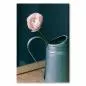 Preview: Zartrosa Ranunkel in silberner Vase, Holztisch, dunkler Hintergrund. Preview: Zartrosa Ranunkel in silberner Vase, Holztisch, dunkler Hintergrund.