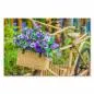 Preview: Verträumtes Bild: Bambusbike mit Weidenkorb voller bunter Blumen; Symbol für Natürlichkeit und Romantik. Preview: Verträumtes Bild: Bambusbike mit Weidenkorb voller bunter Blumen; Symbol für Natürlichkeit und Romantik.