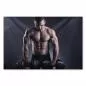 Preview: Muskulöser Bodybuilder, Fitnessstudio, Hanteln, trainierter Körper. Preview: Muskulöser Bodybuilder, Fitnessstudio, Hanteln, trainierter Körper.