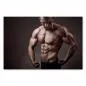 Preview: Muskulöser Bodybuilder, grauer Hintergrund, Adern & Muskeln, Kraft & Ausdauer. Preview: Muskulöser Bodybuilder, grauer Hintergrund, Adern & Muskeln, Kraft & Ausdauer.