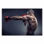 Preview: Muskulöser Boxer beim Training, Boxhandschuhe, demonstriert Schlagkraft.