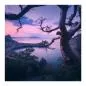 Preview: Knorriger Baum, malerische Bucht, Sonnenuntergang, sanfte Farben, mystisch. Preview: Knorriger Baum, malerische Bucht, Sonnenuntergang, sanfte Farben, mystisch.