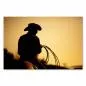Preview: Cowboy hält sein Lasso bereit, seine Silhouette strahlt Ruhe im warmen Abendlicht aus. Preview: Cowboy hält sein Lasso bereit, seine Silhouette strahlt Ruhe im warmen Abendlicht aus.