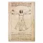 Preview: Leonardo da Vincis berühmte Zeichnung des vitruvianischen Menschen zeigt die Proportionen des menschlichen Körpers. Preview: Leonardo da Vincis berühmte Zeichnung des vitruvianischen Menschen zeigt die Proportionen des menschlichen Körpers.