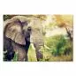 Preview: Ein majestätischer Elefant in der afrikanischen Wildnis - ein Bild voller Kraft und Weisheit. Preview: Ein majestätischer Elefant in der afrikanischen Wildnis - ein Bild voller Kraft und Weisheit.