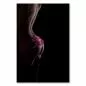 Preview: Farbige Fotografie einer jungen Frau vor schwarzem Hintergrund, zeigt Rücken und pinkfarbenes Höschen. Preview: Farbige Fotografie einer jungen Frau vor schwarzem Hintergrund, zeigt Rücken und pinkfarbenes Höschen.