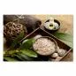 Preview: Schale mit Badesalz, exotischer Blume und Dekoelementen aus Naturmaterialien verspricht Entspannung und Wellness. Preview: Schale mit Badesalz, exotischer Blume und Dekoelementen aus Naturmaterialien verspricht Entspannung und Wellness.