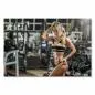 Preview: Athletische Frau im Fitnessstudio, definierte Muskulatur - Training & Disziplin. Preview: Athletische Frau im Fitnessstudio, definierte Muskulatur - Training & Disziplin.