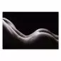 Preview: Schwarz-Weiß-Fotografie: Sinnliche Rundungen eines weiblichen Rückens, Licht & Schatten. Preview: Schwarz-Weiß-Fotografie: Sinnliche Rundungen eines weiblichen Rückens, Licht & Schatten.