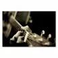 Preview: Im Fokus: die Finger eines Gitarristen, die sanft Akkorde auf einer akustischen Gitarre spielen. Preview: Im Fokus: die Finger eines Gitarristen, die sanft Akkorde auf einer akustischen Gitarre spielen.