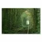 Preview: Eisenbahntunnel in der Ukraine, bedeckt von Grüna, schafft eine magische Atmosphäre. Preview: Eisenbahntunnel in der Ukraine, bedeckt von Grüna, schafft eine magische Atmosphäre.