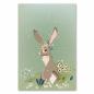 Preview: Hase, Blumenkranz, sitzt verträumt im Gras, genießt Ruhe der Natur.