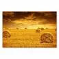 Preview: Goldene Stunde auf dem Feld: Die untergehende Sonne taucht die Landschaft mit Heuballen in warme Farben. Preview: Goldene Stunde auf dem Feld: Die untergehende Sonne taucht die Landschaft mit Heuballen in warme Farben.