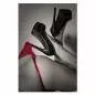 Preview: Schwarz-Weiß-Bild von weiblichen Beinen in High Heels und roter Unterwäsche – ein sinnliches Motiv. Preview: Schwarz-Weiß-Bild von weiblichen Beinen in High Heels und roter Unterwäsche – ein sinnliches Motiv.