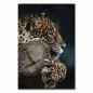 Preview: Jaguar, entspannt auf Baumstamm, blickt in Ferne, geflecktes Fell & Krallen. Preview: Jaguar, entspannt auf Baumstamm, blickt in Ferne, geflecktes Fell & Krallen.