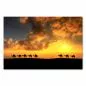 Preview: Die Silhouette einer Kamelkarawane vor dem atemberaubenden Sonnenuntergang in der Wüste - ein Bild von Reise und Abenteuer. Preview: Die Silhouette einer Kamelkarawane vor dem atemberaubenden Sonnenuntergang in der Wüste - ein Bild von Reise und Abenteuer.